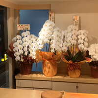 鯛良 六本木店 - 