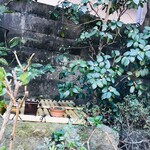 加茂みたらし茶屋 - お庭の井戸