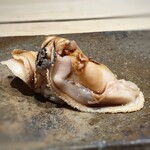 菊鮨 - 蛤（九十九里）・・大きめの蛤は優しい味わいに仕上げられ、美味しい。