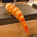 寿司 赤酢 - 四国の天然の車海老