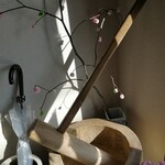 甘味堂 くさかもちや - 