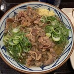 丸亀製麺 - 肉2倍かけうどん（並）【2020.2】