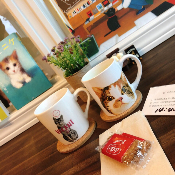 保護猫カフェ Aelu 矢作橋 その他 食べログ 保護猫カフェ Aelu 矢作橋 その他 食べログ