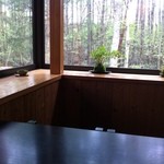 苔清庵 - 大きな窓から緑