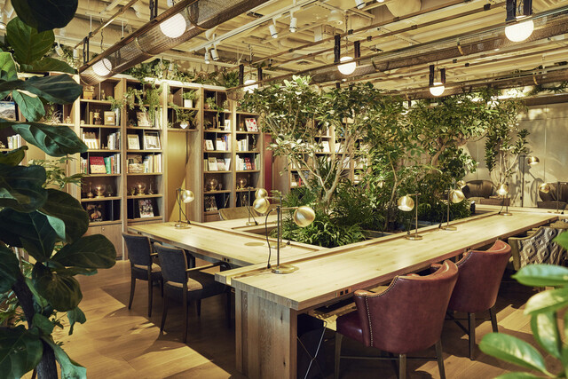 リステア サーフサイド Restir Surfside 乃木坂 カフェ 食べログ