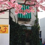 ラフレッサ - お店の前にもオカメ桜が