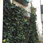 ラフレッサ - 入り口見えない…