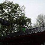 上野の森PARK SIDE CAFE - 