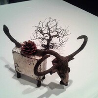 エディション・コウジ シモムラ - 