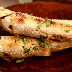 中善 - 琵琶湖諸子