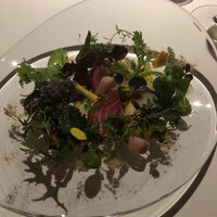 レフェルヴェソンス - 