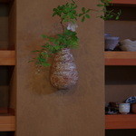 魚菜料理 縄屋 - 