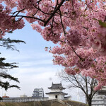 Tanakaya - 宇都宮城址公園