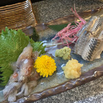 大安 - 生ホタルイカ&イワシ