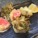 大安 - ふきのとう天ぷら