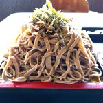 本格手打ち蕎麦・うどん 芭蕉苑 - これで並盛…(;'∀')