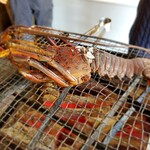 ひもの万宝商店 - 伊勢海老