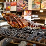 ひもの万宝商店 - 伊勢海老
