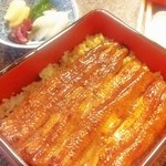 うなぎ 魚政 - 国産うなぎ　中　3,300円