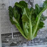 なみちゃん農園 - 