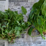 なみちゃん農園 - 