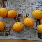 なみちゃん農園 - 