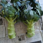 なみちゃん農園 - 