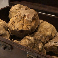 マルゴット エ バッチャーレ - 