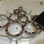 ショコラティエ マサール - ショコラツリーを分解して　【　２０１１年１２月　】13