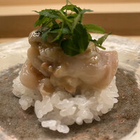 蓮 三四七 - 