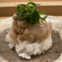 蓮 三四七 - 