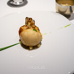 レフェルヴェソンス - 