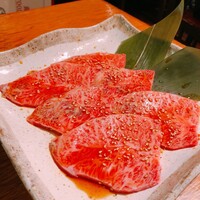 喜福世 - 
