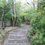 山しのぶ - 看板から玄関へと続く小道…こちらの大好きな作りのひとつです。