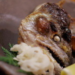 赤坂とゝや魚新 - 櫻鱒（さくらます）兜（かぶと）鹽燒（しほやき）