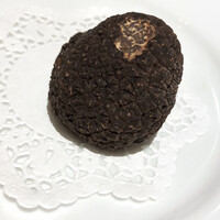 マルゴット エ バッチャーレ - 