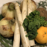 スガラボヴィー - 