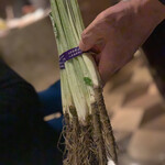 スガラボヴィー - 