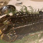 スガラボヴィー - 