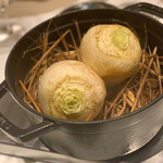 スガラボヴィー - 