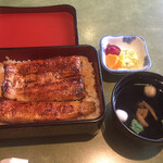 Unagi Fujita - 