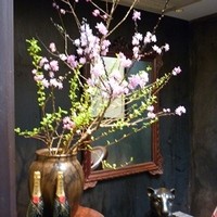 膳處漢ぽっちり - ウェイティングに飾ってあった桃の花