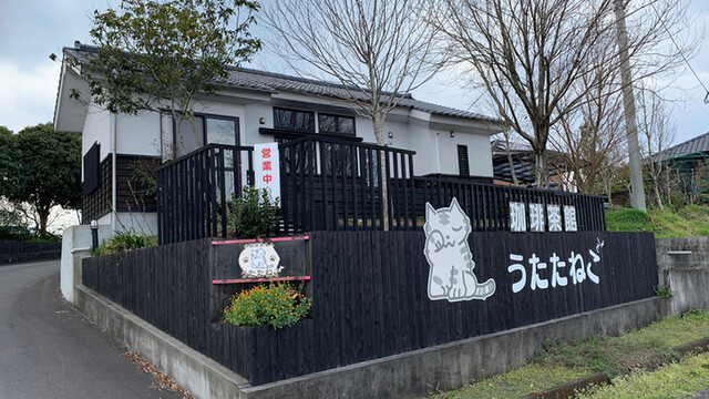 うたたねこ 餅原 喫茶店 食べログ うたたねこ 餅原 喫茶店 食べログ