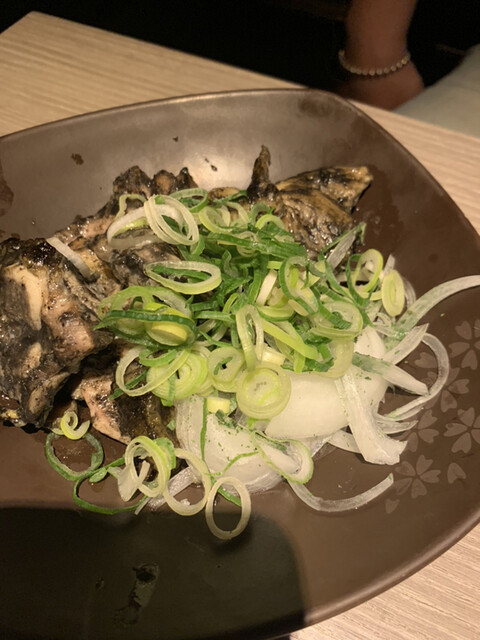 Aquarium個室 青の洞窟 難波店 大阪難波 居酒屋 ネット予約可 食べログ Aquarium個室 青の洞窟 難波店 大阪難波 居酒屋 ネット予約可 食べログ