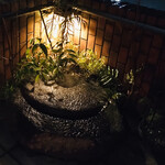 鮨 はしぐち - 外の階段を昇ったとこ