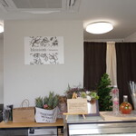 ブロッサム ヒラマツ - 