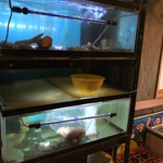 大衆割烹 大黒 - 