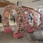 博多天ぷらたかお - 