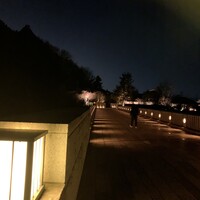 日本料理 京都 華暦 - 