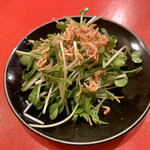 龍文支店 - サラダ